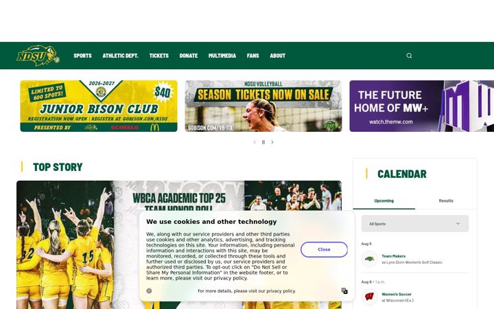 Skärmbild av gobison.com