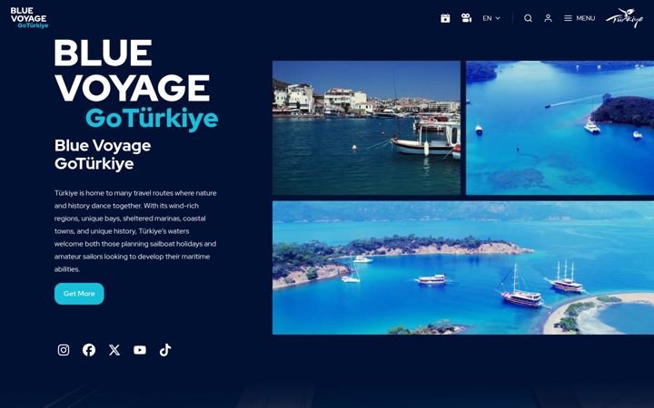 Screenshot of gobluevoyageturkiye.com