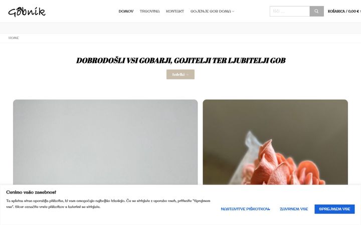 Screenshot of gobnik.com