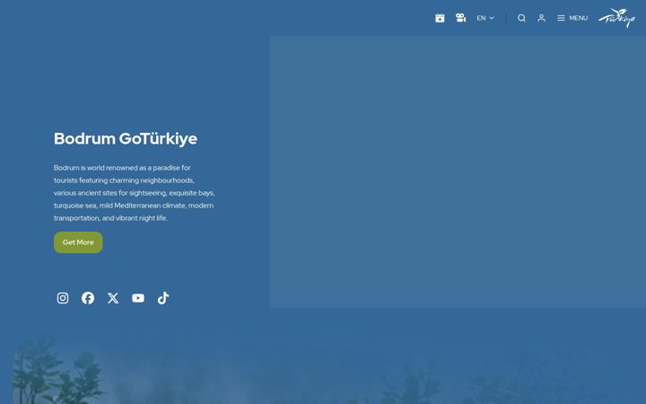 Screenshot of gobodrumturkiye.com
