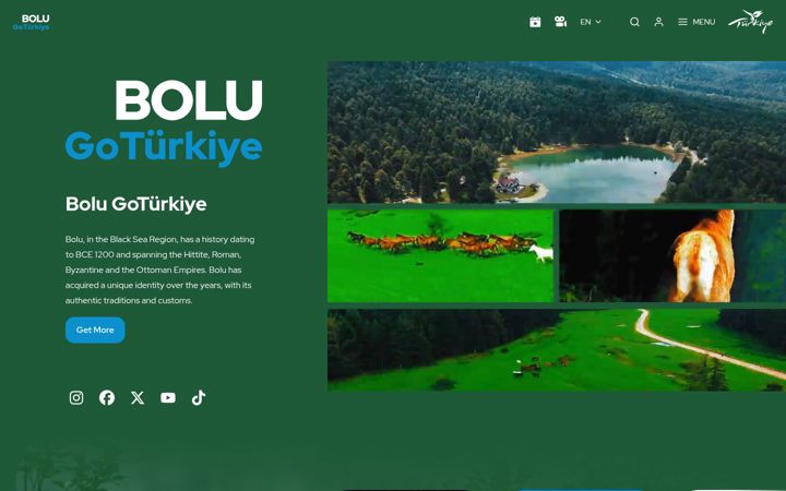 Screenshot of goboluturkiye.com