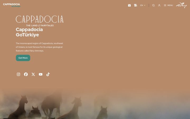Screenshot of gocappadociaturkiye.com