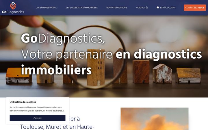 Screenshot of godiagnostics.fr