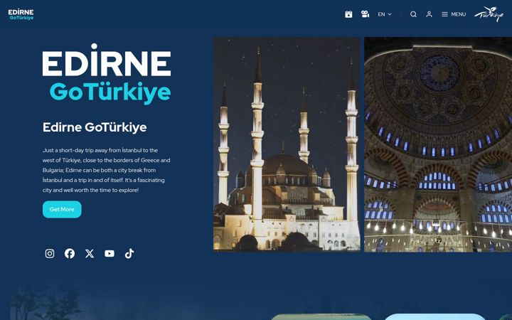 Screenshot of goedirneturkiye.com