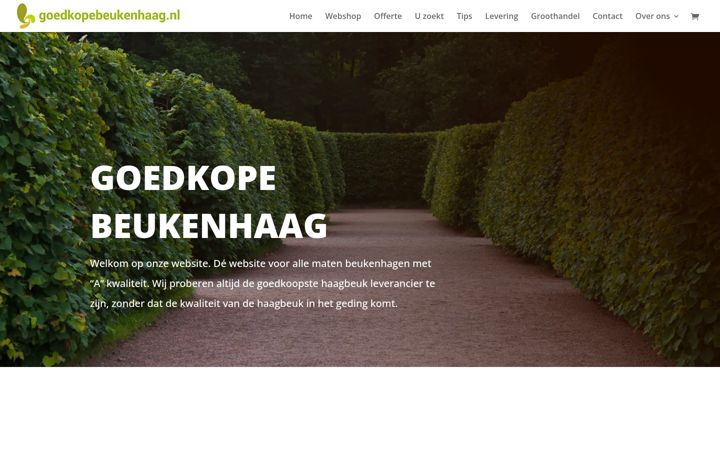 Screenshot of goedkopebeukenhaag.nl