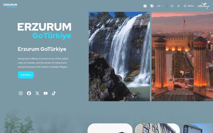 Screenshot of goerzurumturkiye.com