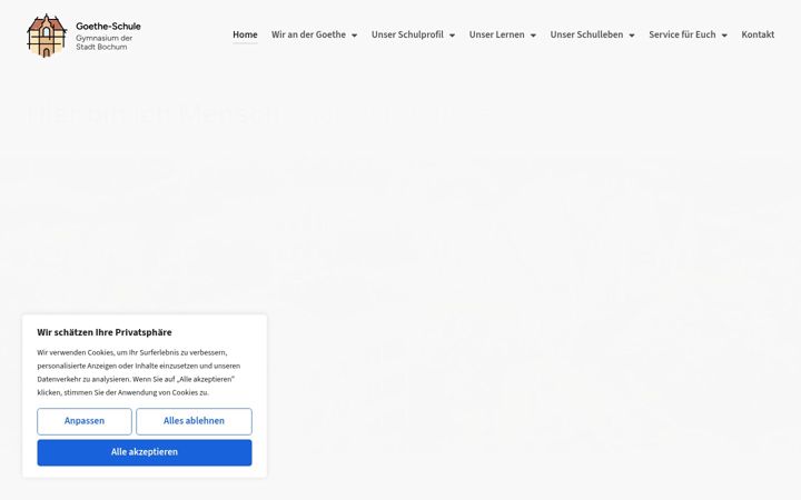 Screenshot of goethe-schule.de