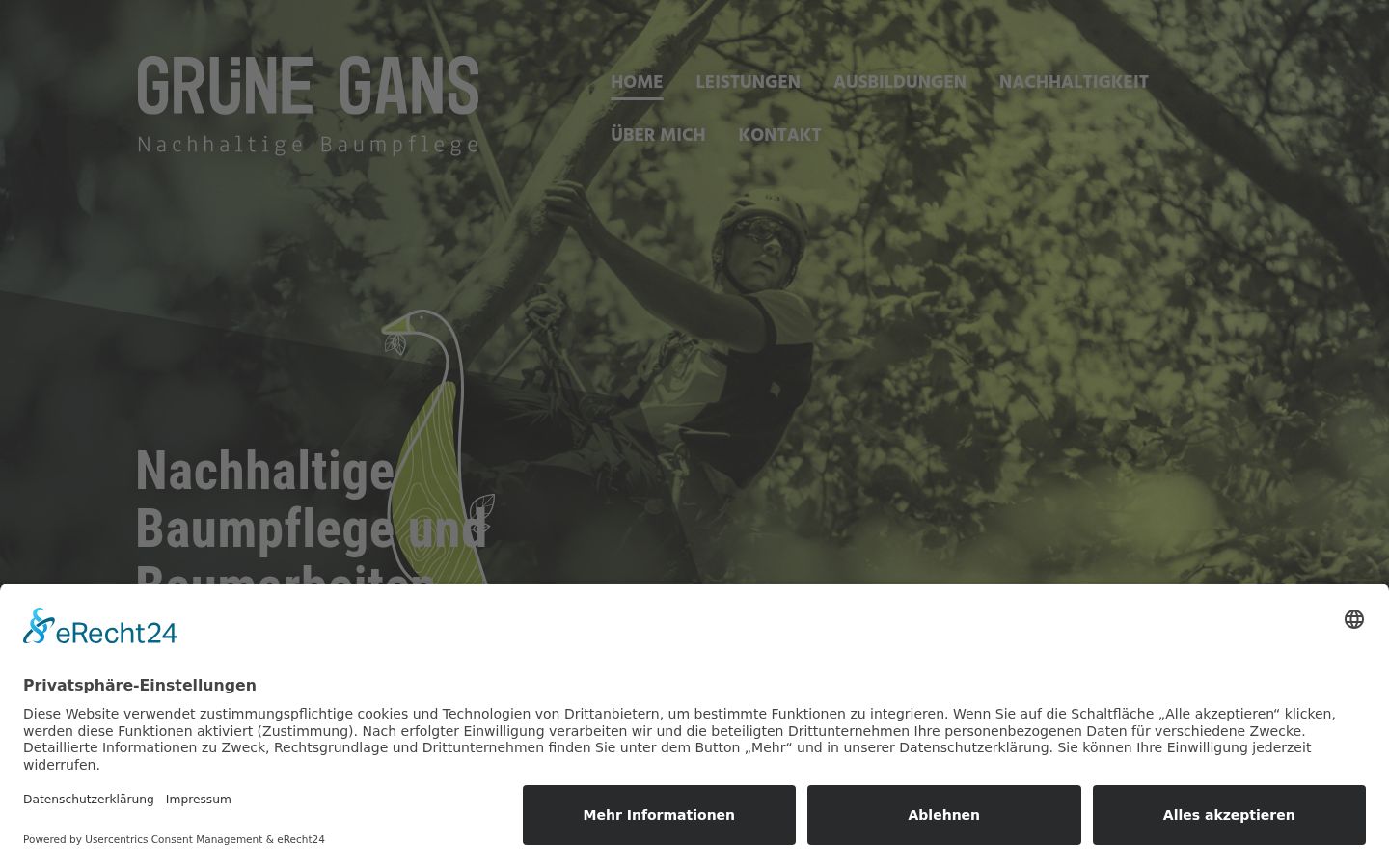 Screenshot tal-banner tal-kunsens muri qabel kwalunkwe interazzjoni