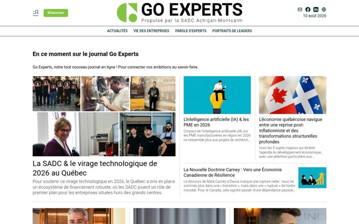 Screenshot of goexperts.ca
