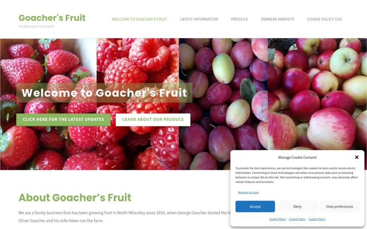 Screenshot of goforgoachers.co.uk