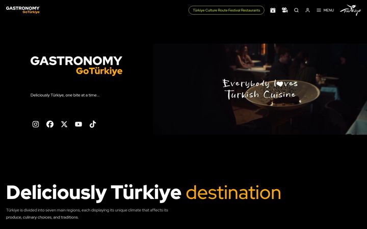 Screenshot of gogastroturkiye.com