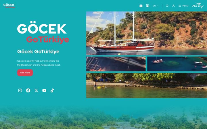 Screenshot of gogocekturkiye.com