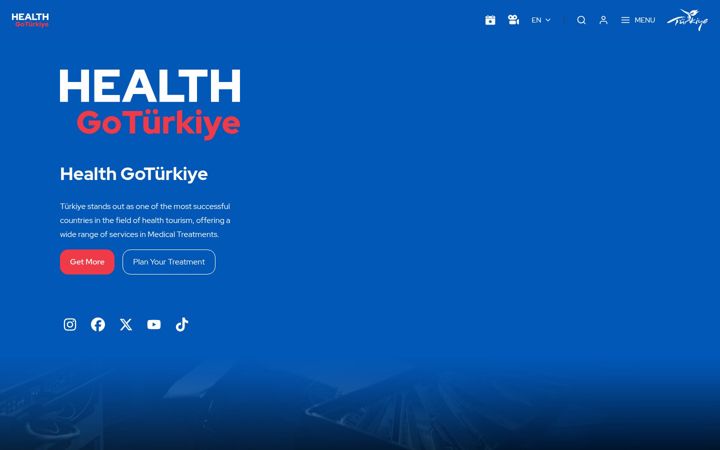 Screenshot of gohealthturkiye.com