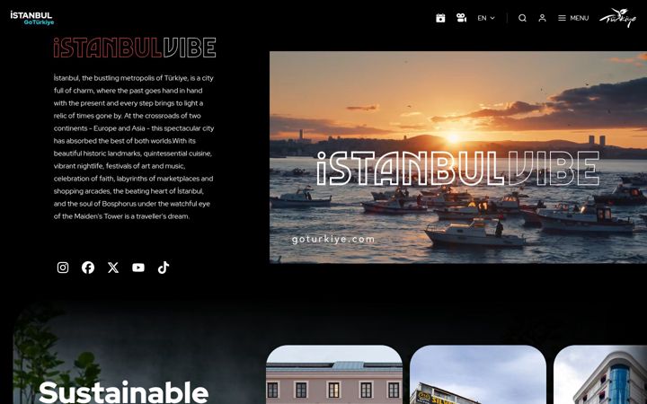 Screenshot of goistanbulturkiye.com
