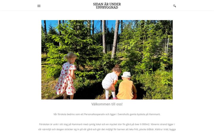 Screenshot of gokboethammaro.com