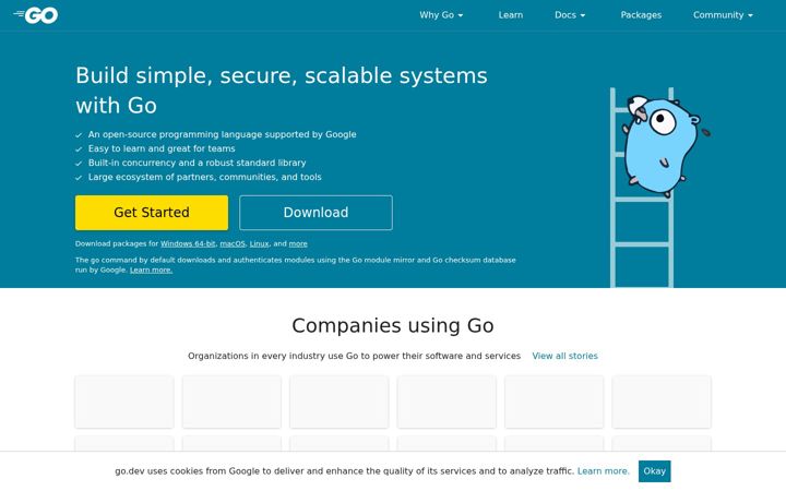 Snímek obrazovky golang.org