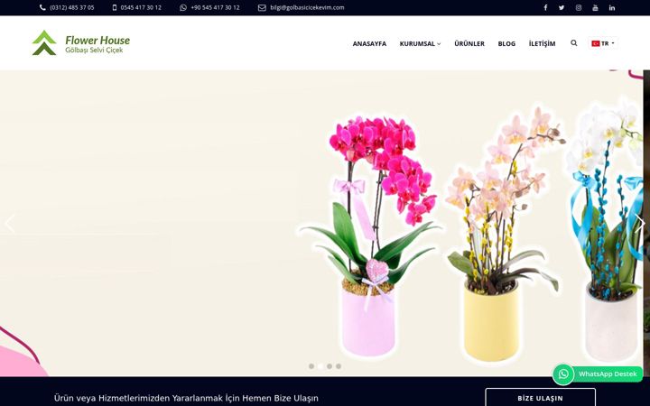 Screenshot of golbasicicekevim.com