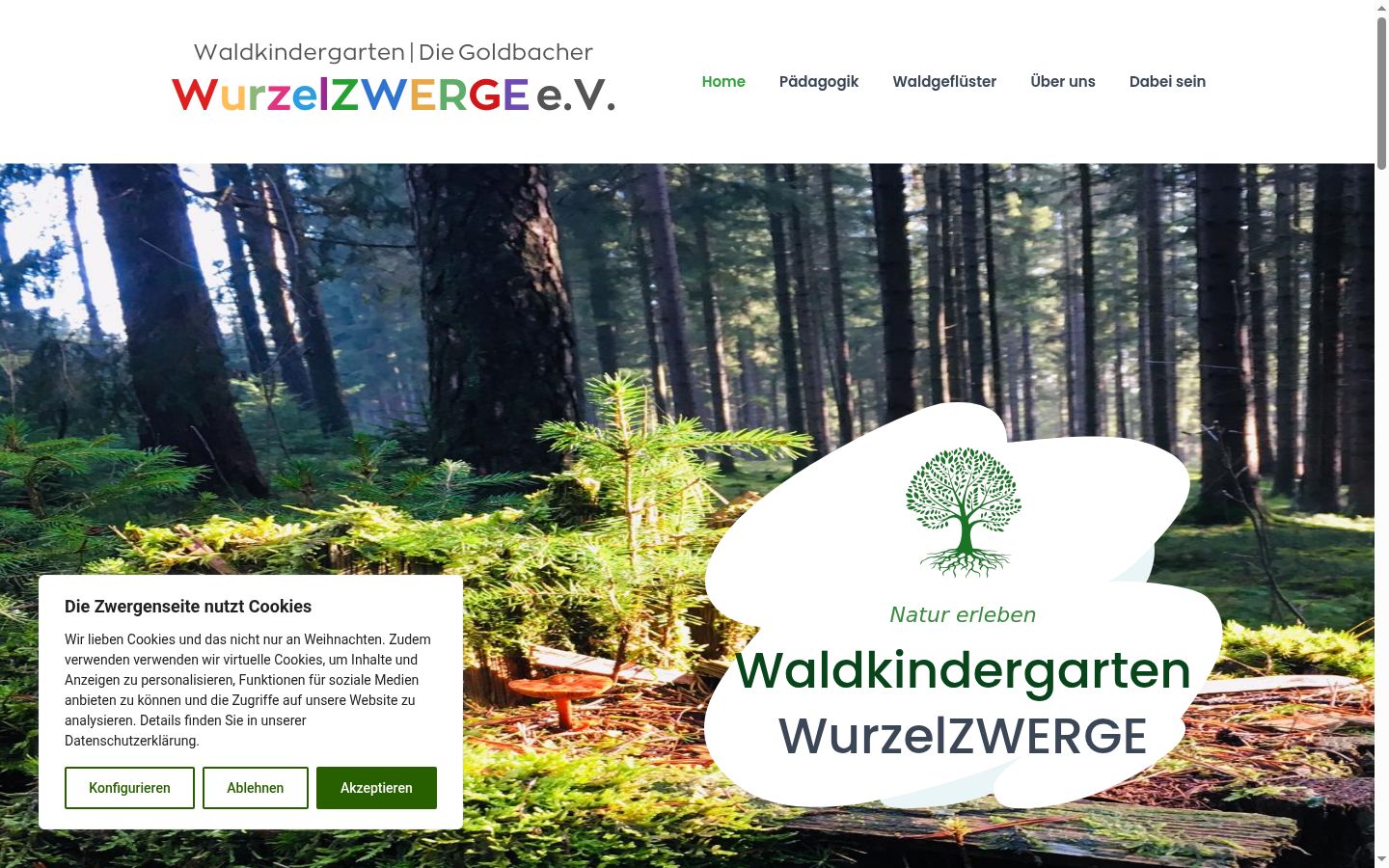 Zrzut ekranu banera zgody wyświetlanego przed jakąkolwiek interakcją