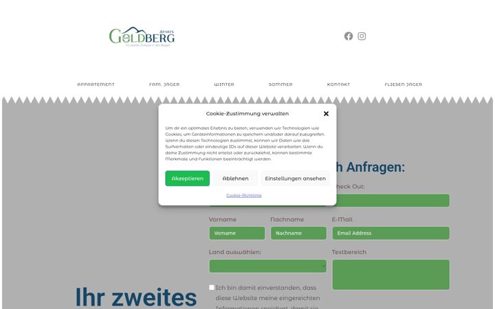 Screenshot of goldberg-aparts.at