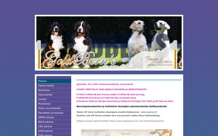 Screenshot of goldberns.com
