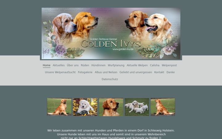 Screenshot of golden-ivy.de