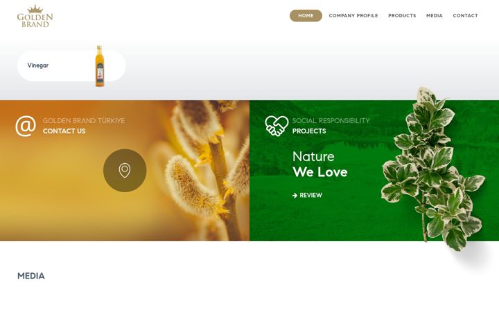 Screenshot of goldenbrandturkiye.com