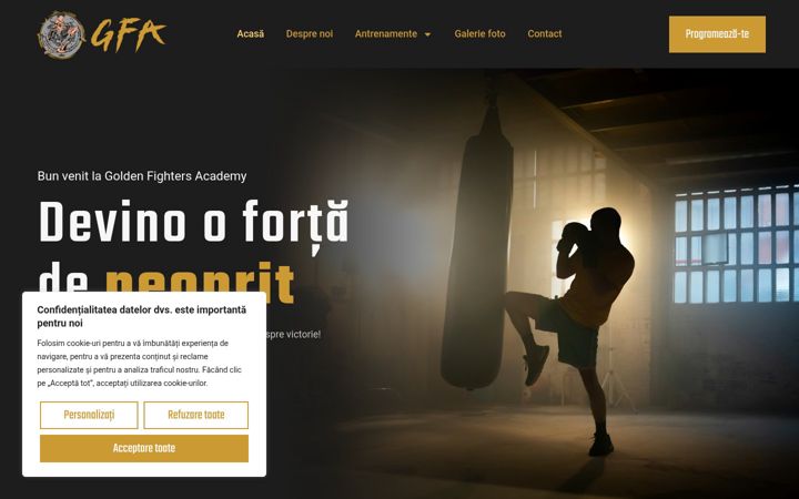 Screenshot of goldenfighters.ro