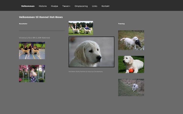 Screenshot of goldenretrievers.dk