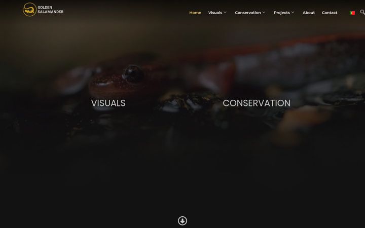 Screenshot of goldensalamander.pt