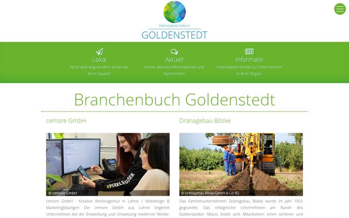 Screenshot of goldenstedt-links.de