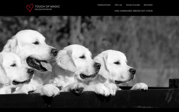 Screenshot of goldentouchofmagic.dk