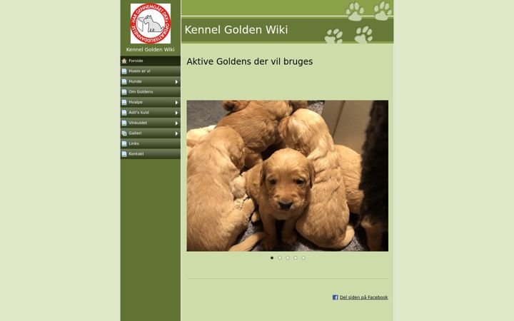 Screenshot of goldenwiki.dk