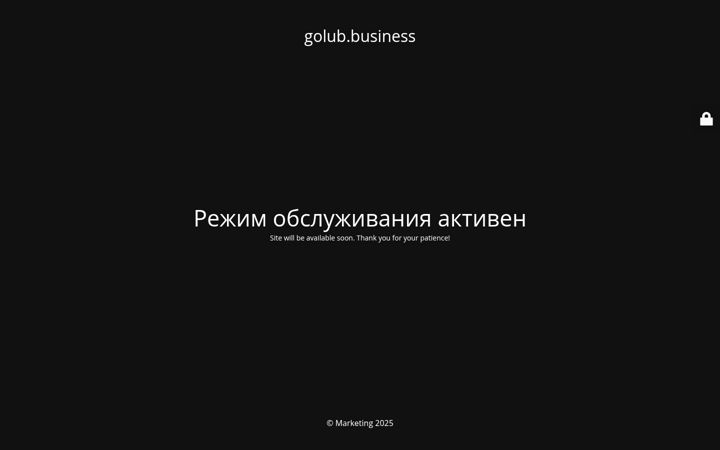 Screenshot of golub.business
