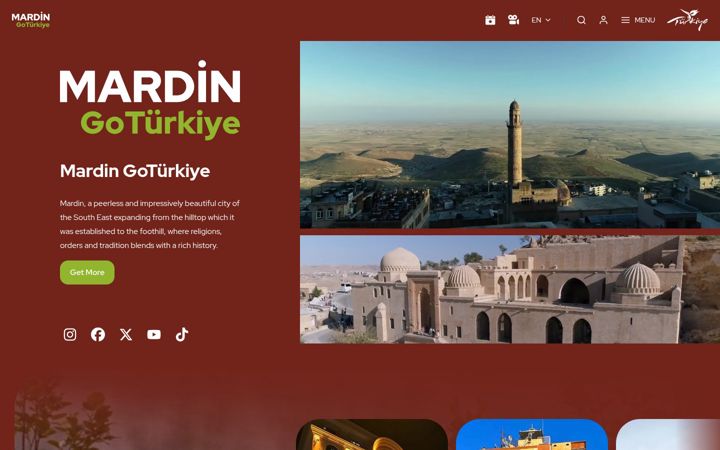 Screenshot of gomardinturkiye.com
