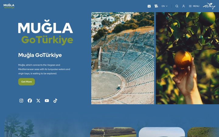 Screenshot of gomuglaturkiye.com