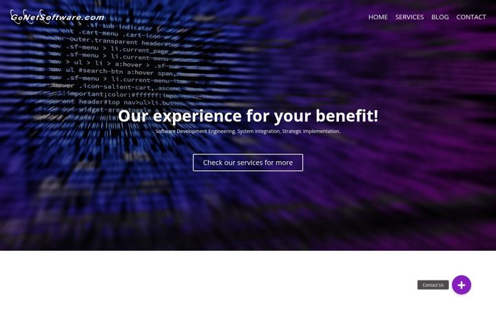Screenshot von gonetsoftware.com