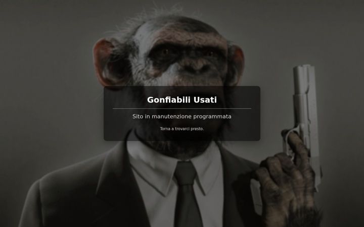 Screenshot of gonfiabiliusati.it