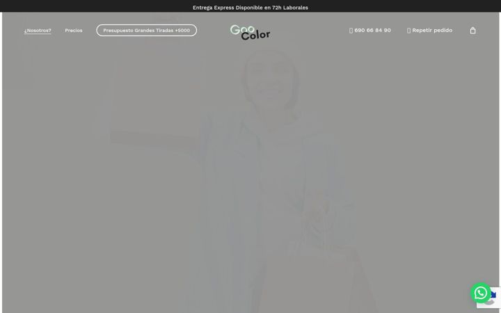 Screenshot of goocolor.com