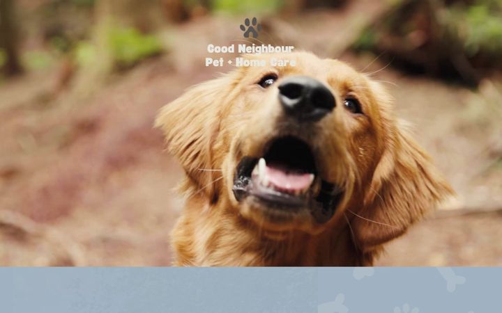 Screenshot of good-neighbour.ca