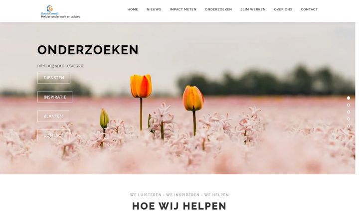 Screenshot of good2consult.nl
