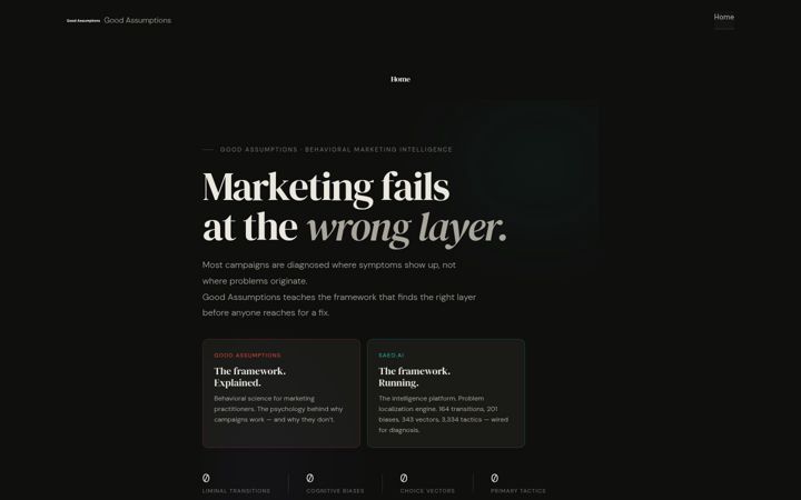 Screenshot of goodassumptions.com