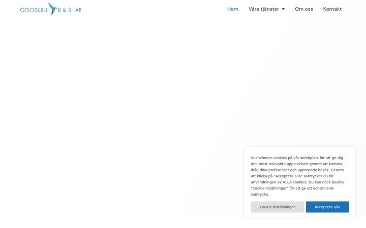 Screenshot of goodwill-redovisning.se