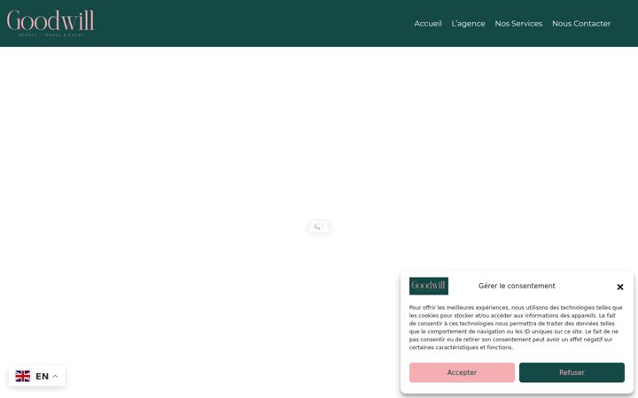 Screenshot of goodwilltravel.fr