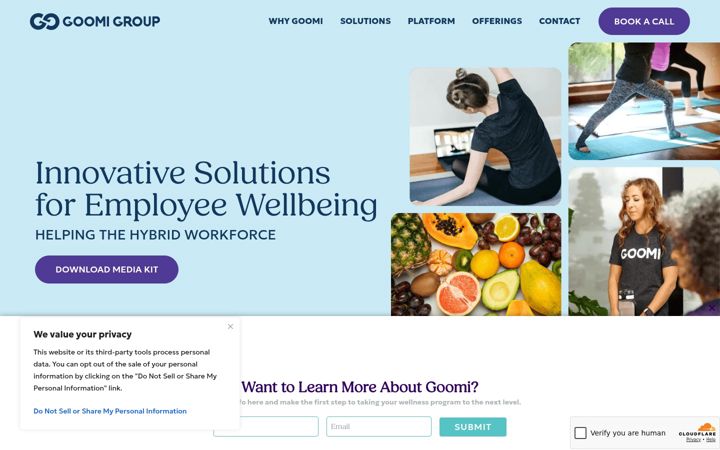 Screenshot of goomigroup.com