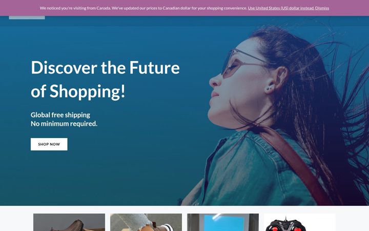 Screenshot of goonexpress.com