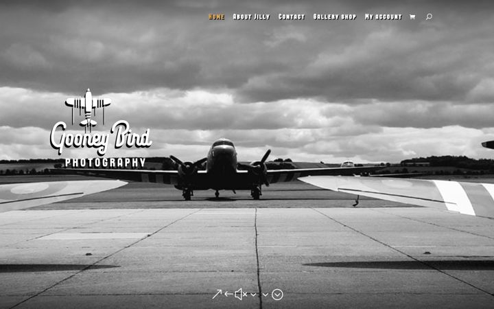 Screenshot of gooneybirdphotography.co.uk
