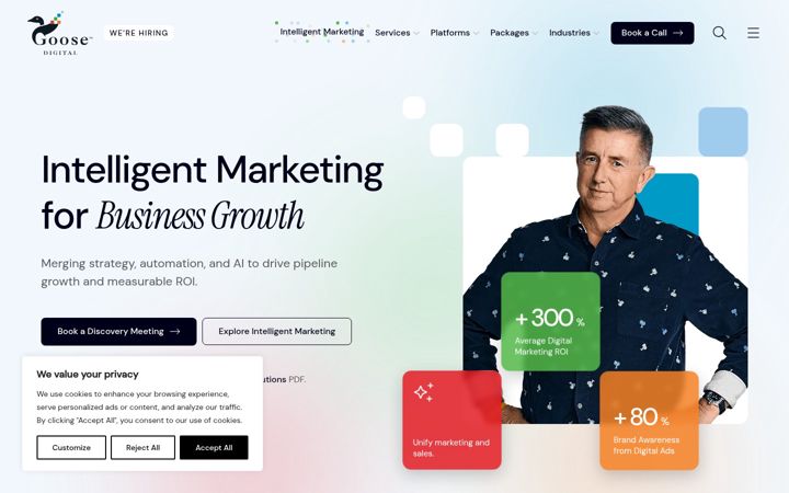 Screenshot of goosedigital.com