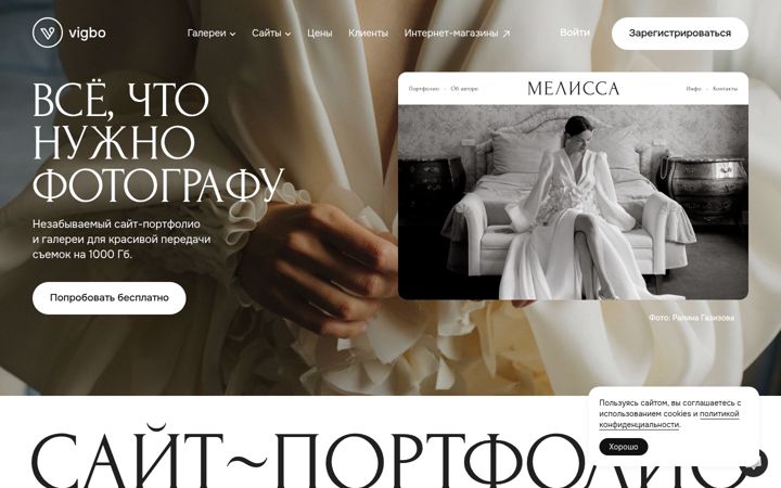 Screenshot of gophotoweb.com