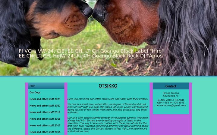 Screenshot of gordonboys.com