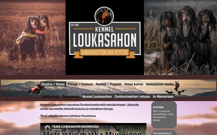 Screenshot of gordonsetter.fi